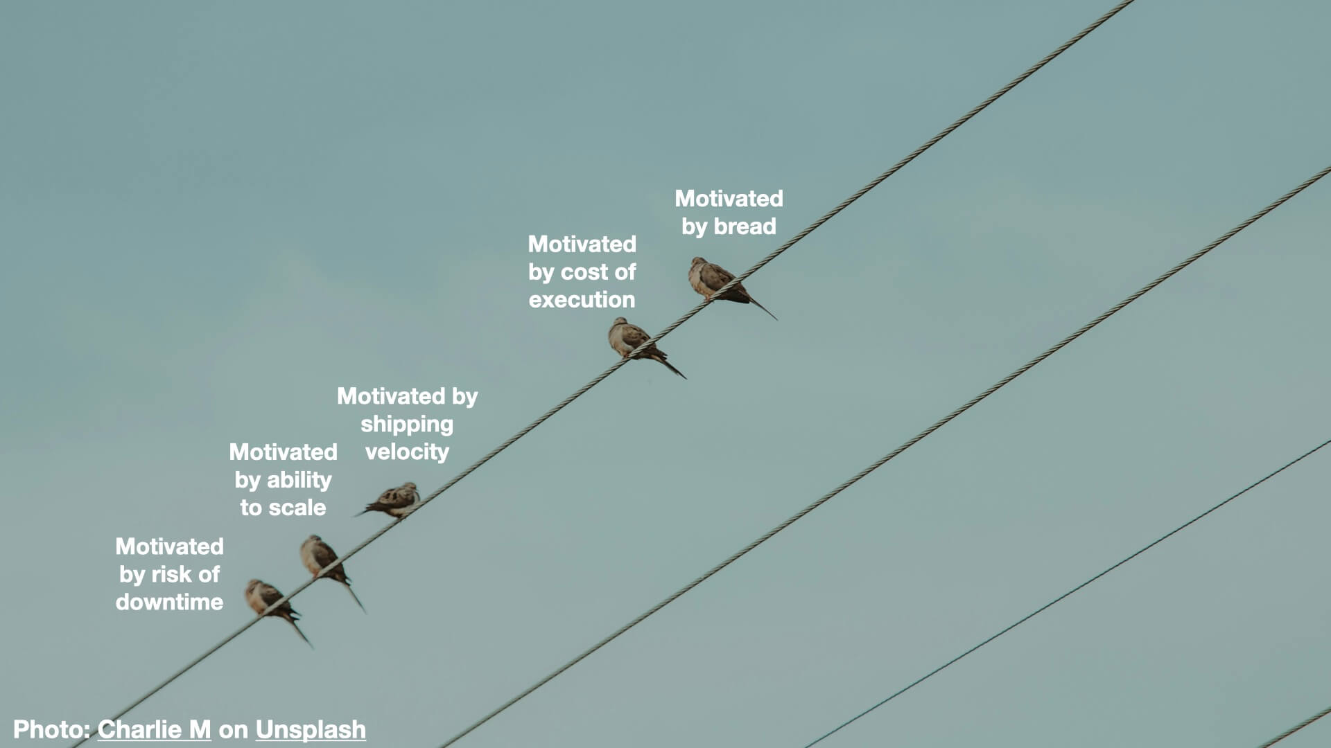 Five birds on a telephone wire, labelled with what they are motivated by. The first one is motivated by risk of downtime. The second, motivated by ability to scale. Third motivated by shipping velocity. Fourth is motivated by cost of execution. Fifth is motivated by bread.